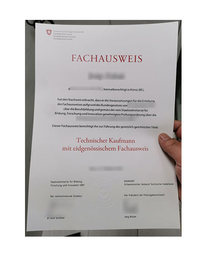How much do fake Fachausweis degrees Certificate cost?