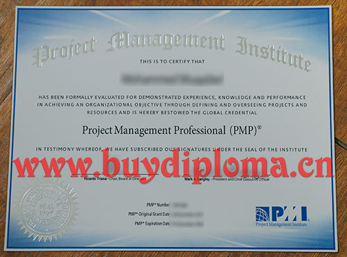 Buy PMP Certificate
