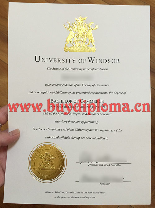 University of Windsor degree diploma