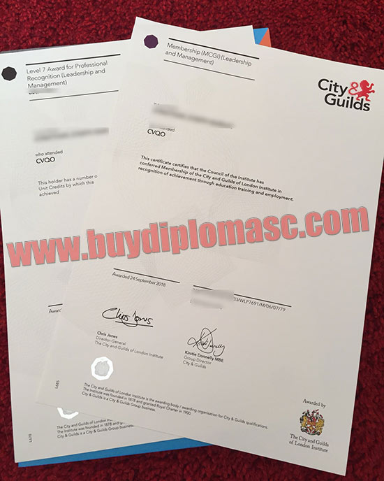 City Guilds certificate sample