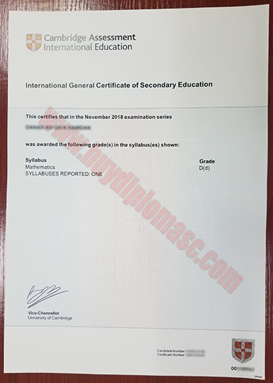 IGCSE Fake certificate