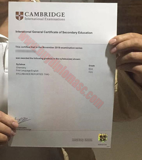 IGCSE Fake certificate