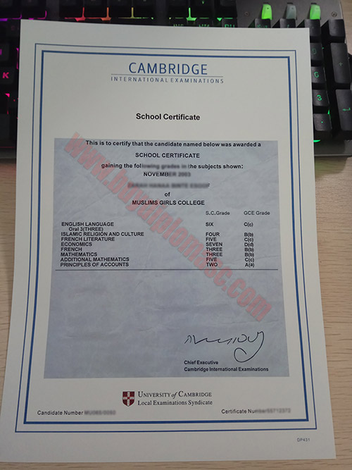 IGCSE Fake certificate