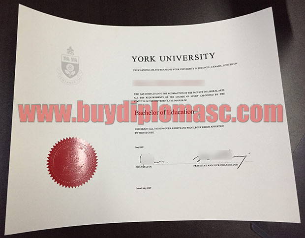 York University fake degree