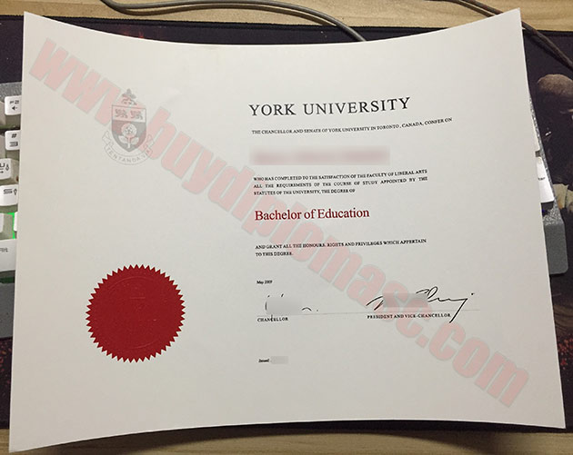 York University fake degree