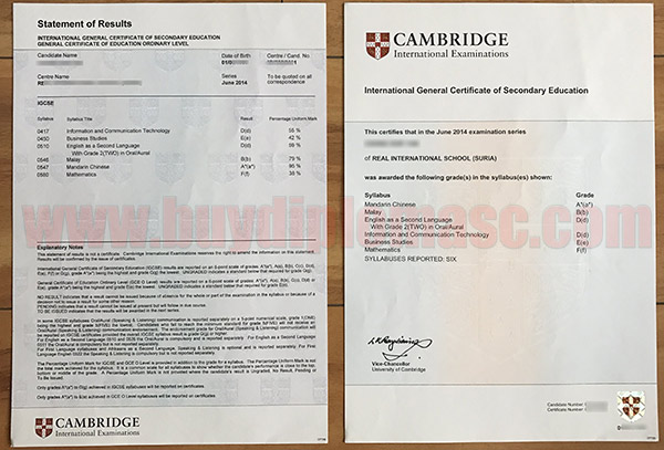 Buy IGCSE fake certificate