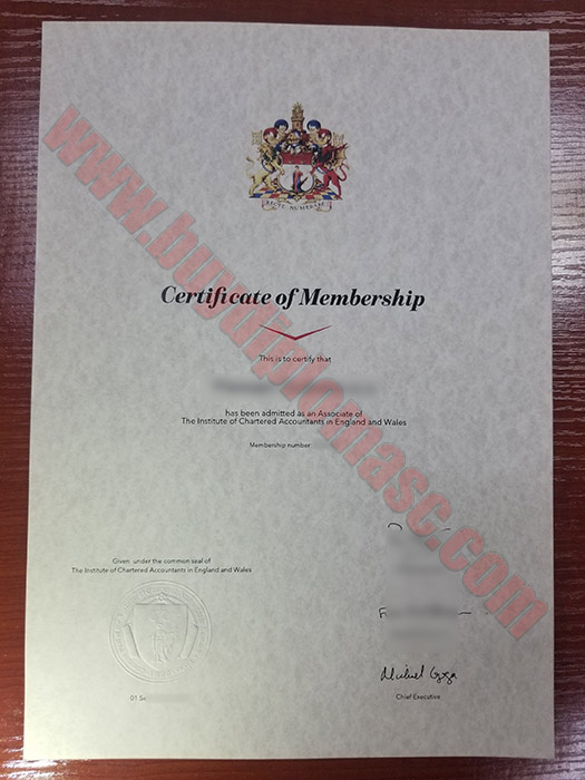 ICAEW Fake certificate sample