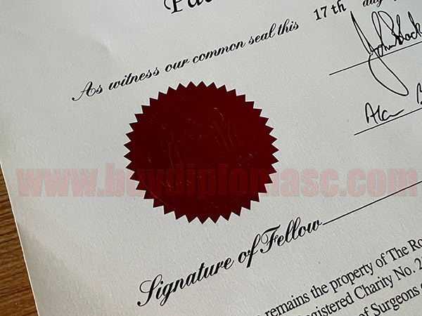 RCS fake diploma certificate