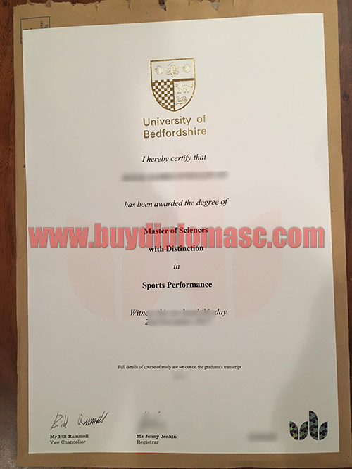 fake University Of Bedfordshire degree