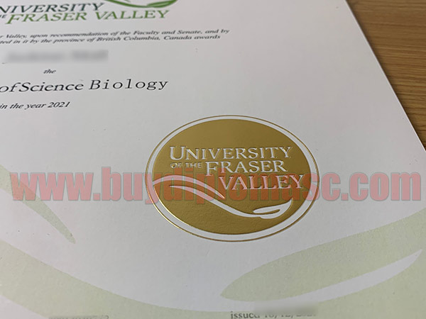 UFV Fake degree Certificate