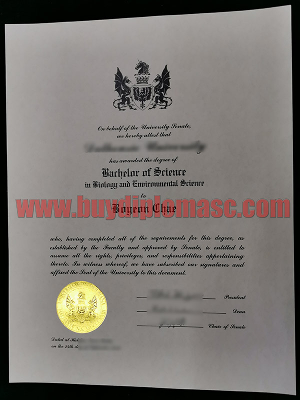 Fake Dalhousie University Degree Certificate