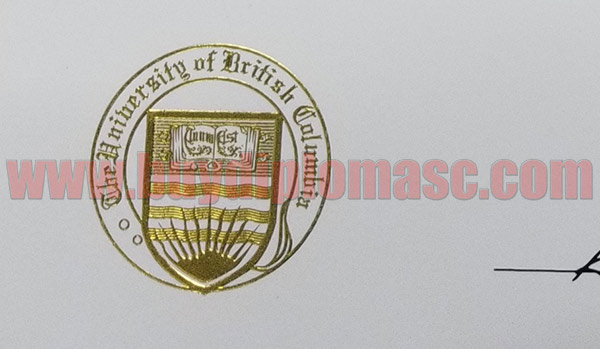fake UBC degree certificate
