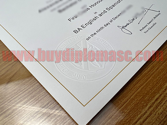 Fake QUB degree certificate