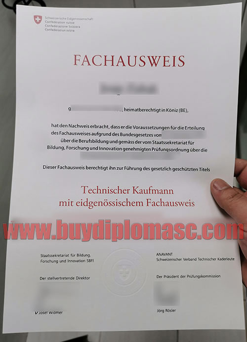 Fake Fachausweis Certificate