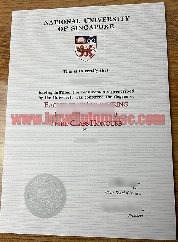 Fake NUS diploma certificate