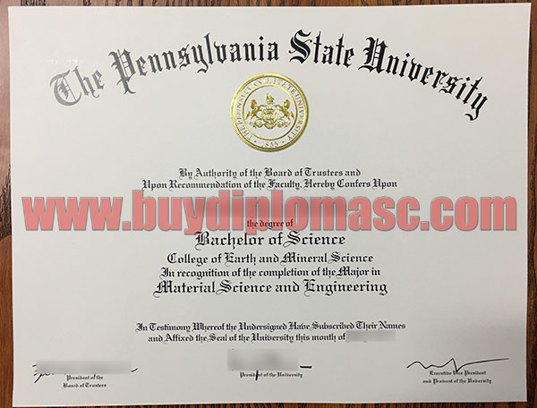 Fake PSU Diploma certificate