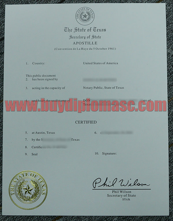 Hague Convention Certification certificate