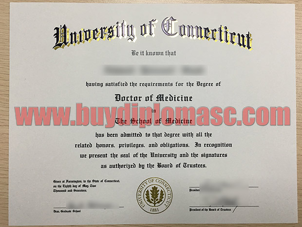 University of Connecticut fake degree certificate