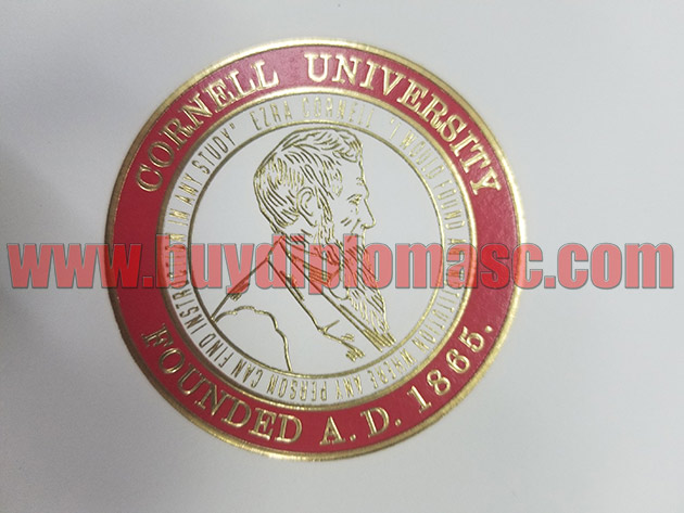 Fake Cornell University Certificate