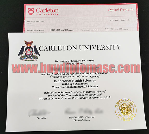Carleton University Fake Diploma Certificate