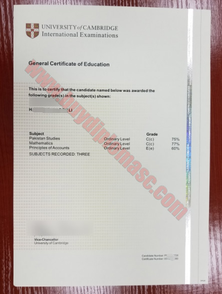 GCE Fake Certificate