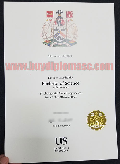 University Of Sussex Fake Degree