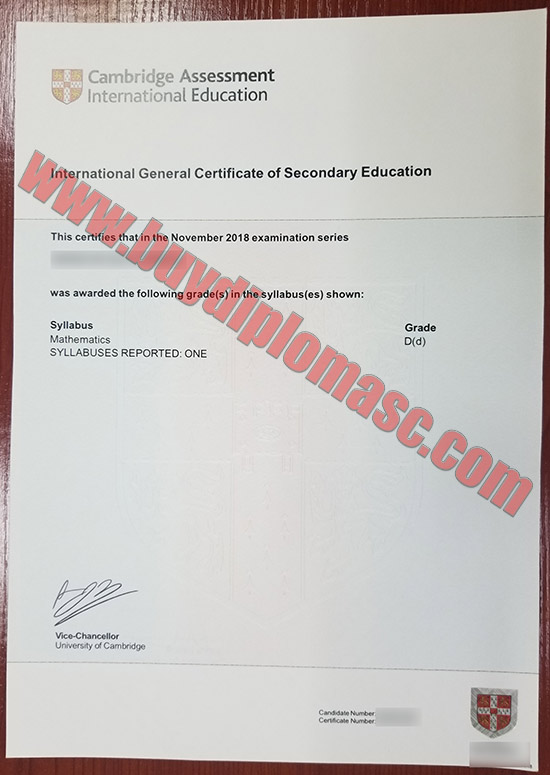 Fake IGCIE certificates