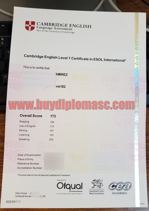 Cambridge English Level 1 Certificate in ESOL International