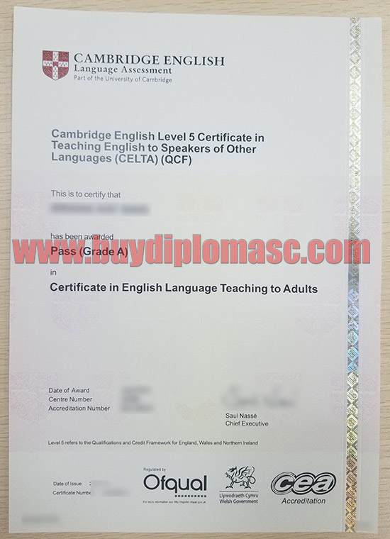 Cambridge English Level 5 Certificate