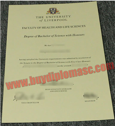 University of Liverpool degree Sample