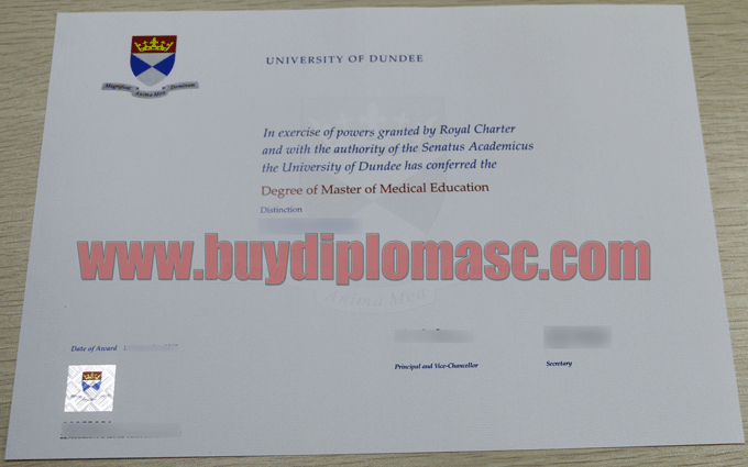 University of Dundee degree