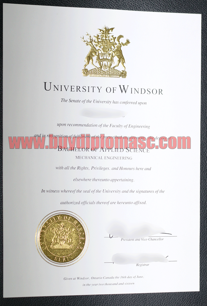 University of Windsor degree diploma