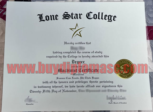 lone star University degree