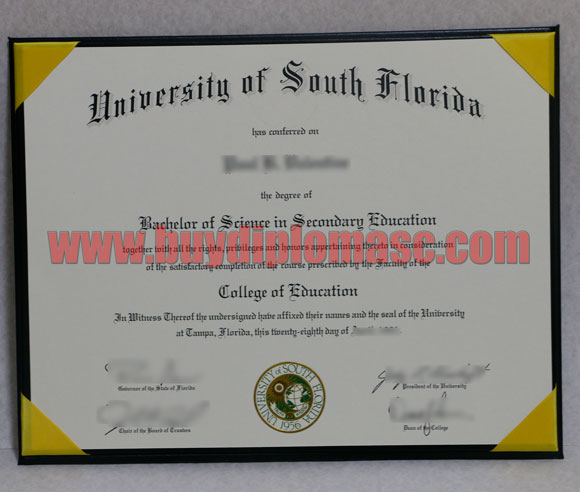  USF diploma degree certificate sample