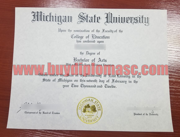 Michigan State University(MSU) degree Certificate