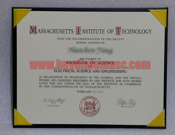 University of Massachusetts degree Certificate