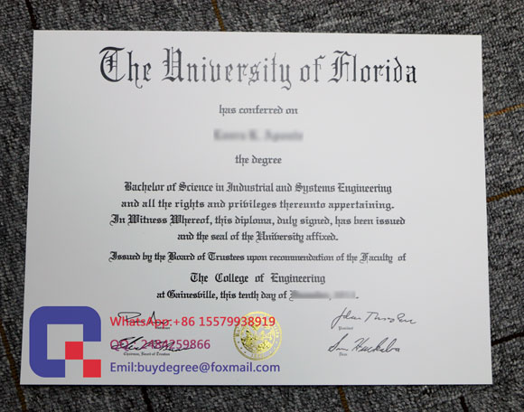 Florida State University degree certificate