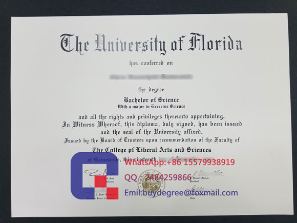 University of Florida diploma degree