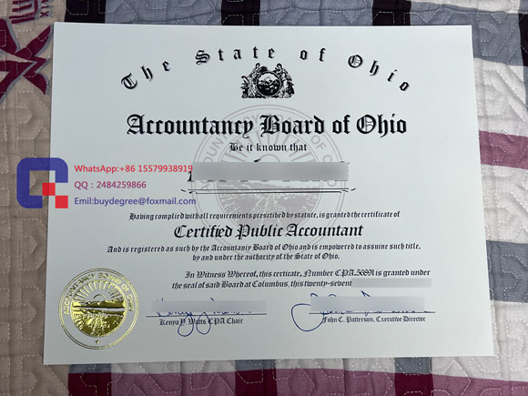 fake AICPA certificate