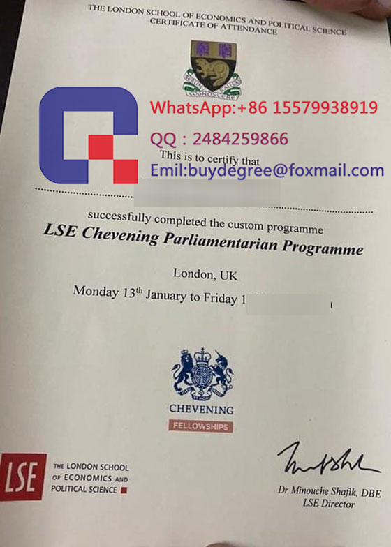 ,LSE Fake degree