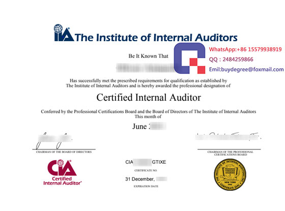 Certified-Internal-Auditor-(CIA)--certificate 2023
