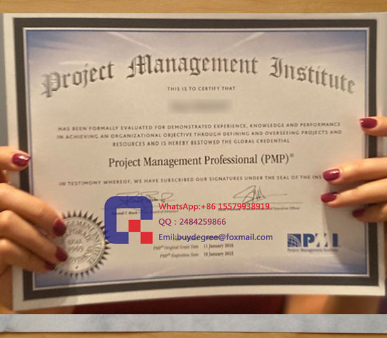 PMP certificate fake