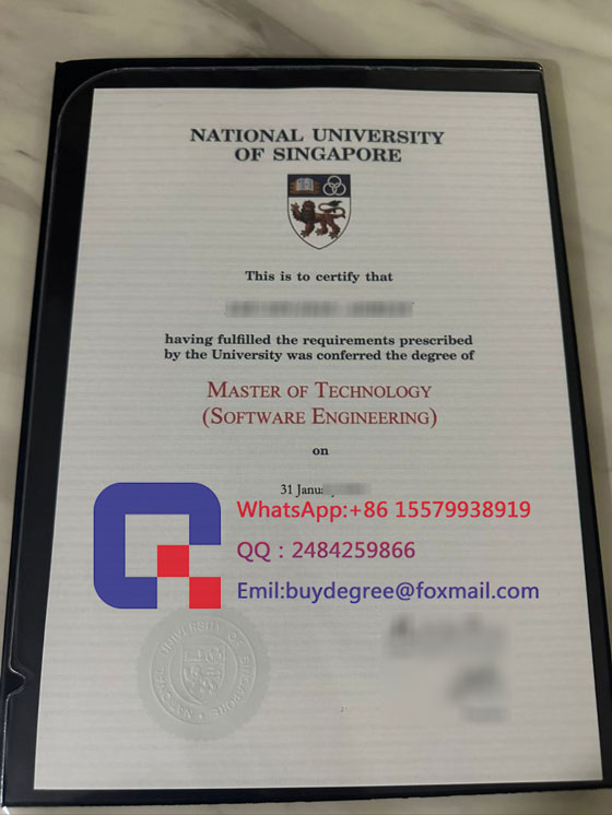 fake National University of Singapore certificate