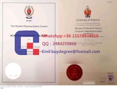 Order Toronto Certificate