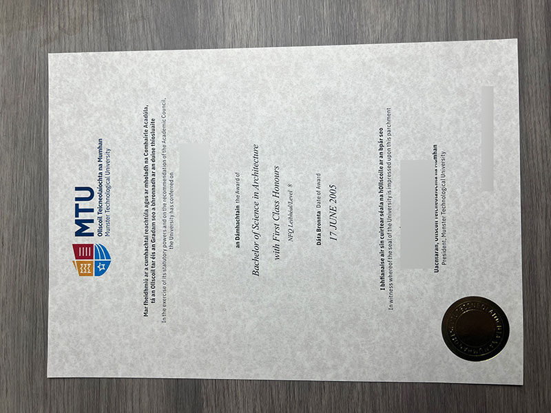 Diploma from Munster Polytechnic University