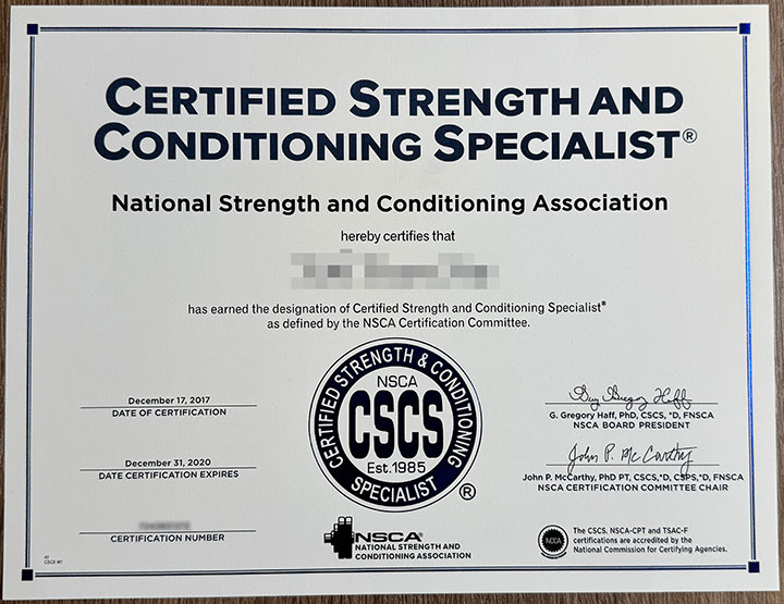 cscs certificate sample