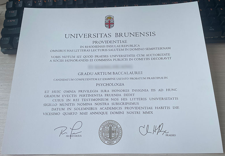 Samples of Brown University degree