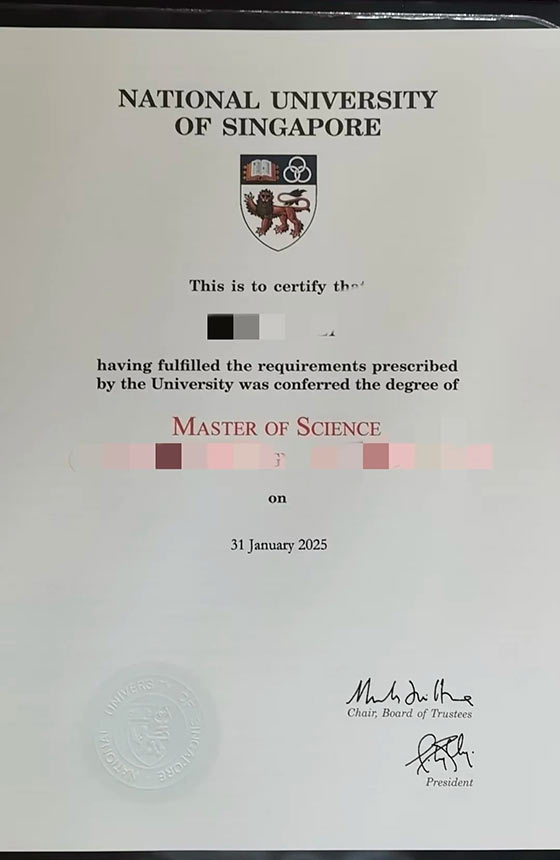 2025 NUS Degree Sample