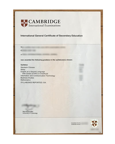 Order Fake IGCSE Certificate Online-How To Buy IGCSE certificate