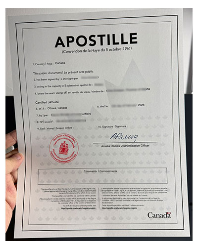Which website can be used to purchase Hague certifi